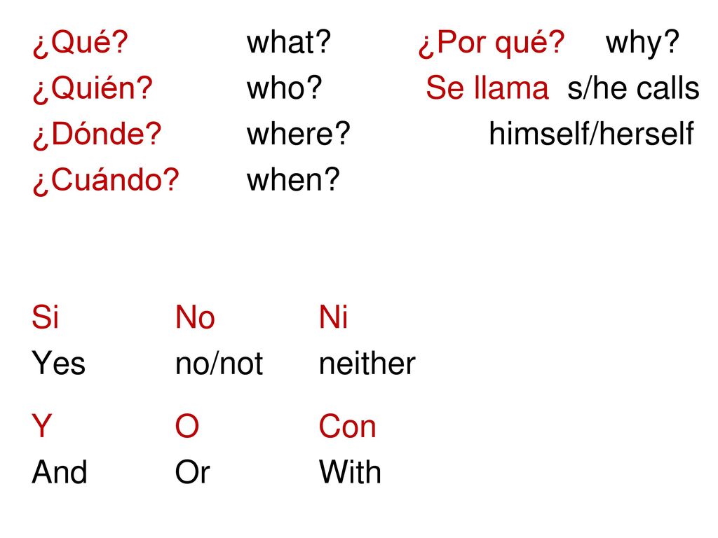 ¿Qué. what. ¿Por qué. why. ¿Quién. who. Se llama s/he calls ¿Dónde