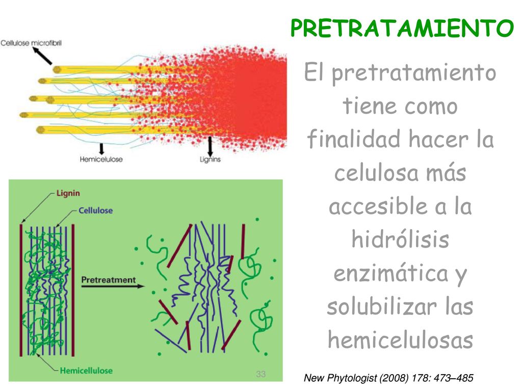 PRETRATAMIENTO El pretratamiento tiene como finalidad hacer la celulosa más accesible a la hidrólisis enzimática y solubilizar las hemicelulosas.
