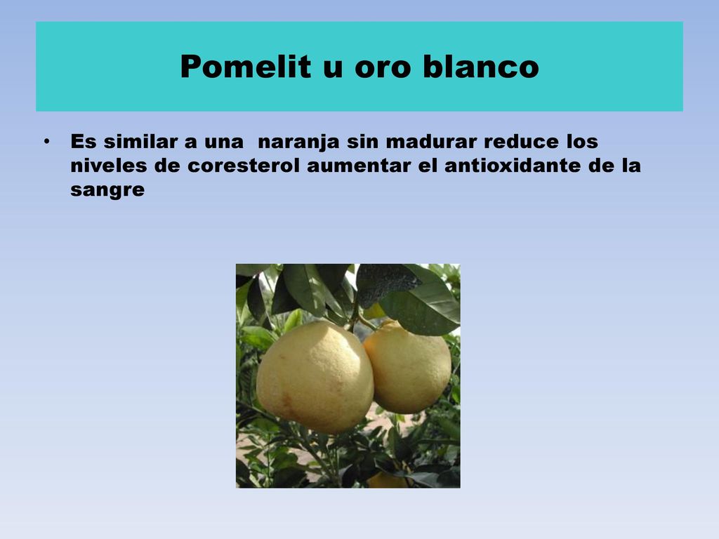 Pomelit u oro blanco Es similar a una naranja sin madurar reduce los niveles de coresterol aumentar el antioxidante de la sangre.