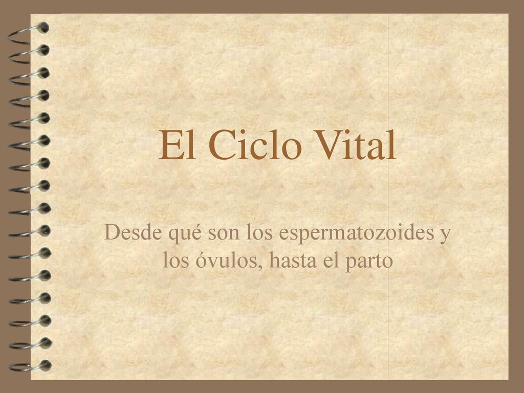 Desde qué son los espermatozoides y los óvulos, hasta el parto