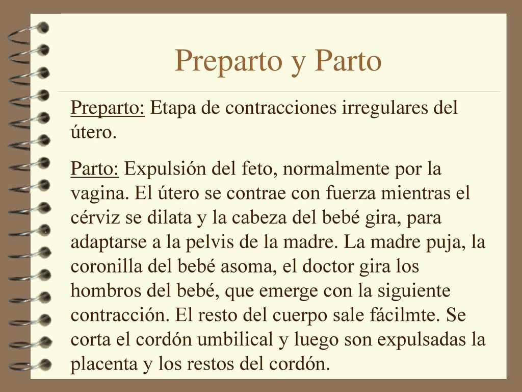 Preparto y Parto Preparto: Etapa de contracciones irregulares del útero.