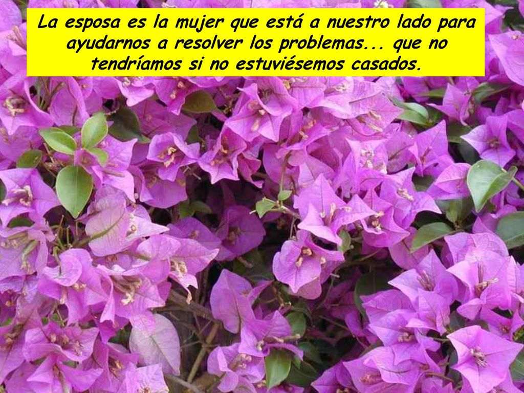 La esposa es la mujer que está a nuestro lado para ayudarnos a resolver los problemas...