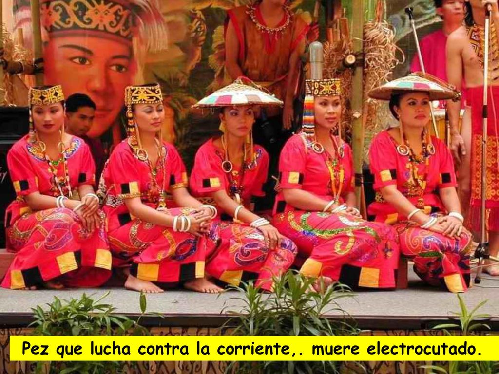 Pez que lucha contra la corriente,. muere electrocutado.