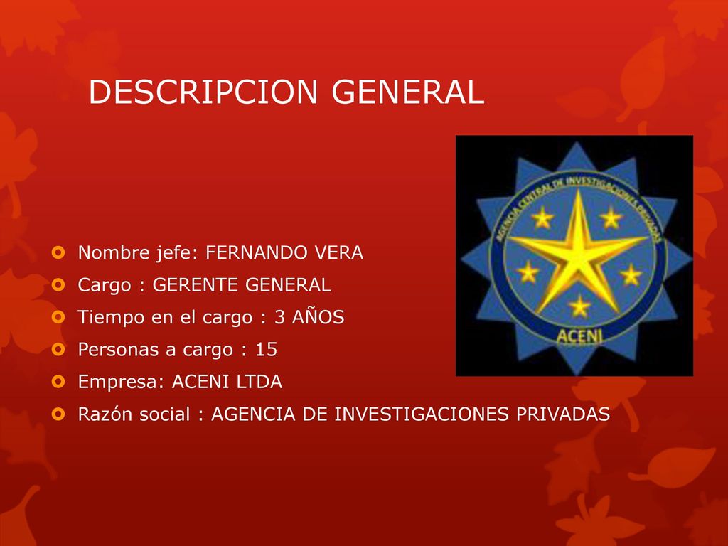 DESCRIPCION GENERAL Nombre jefe: FERNANDO VERA Cargo : GERENTE GENERAL