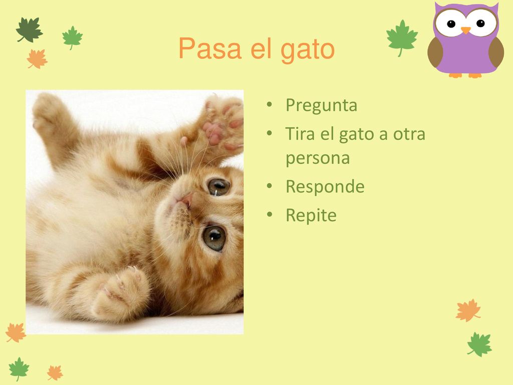 Pasa el gato Pregunta Tira el gato a otra persona Responde Repite