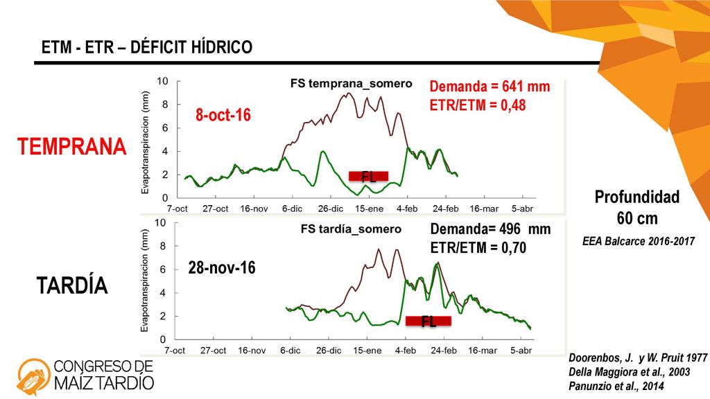 TEMPRANA TARDÍA ETM - ETR – DÉFICIT HÍDRICO 8-oct-16 FL Profundidad