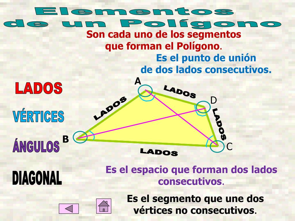 Son cada uno de los segmentos de dos lados consecutivos.
