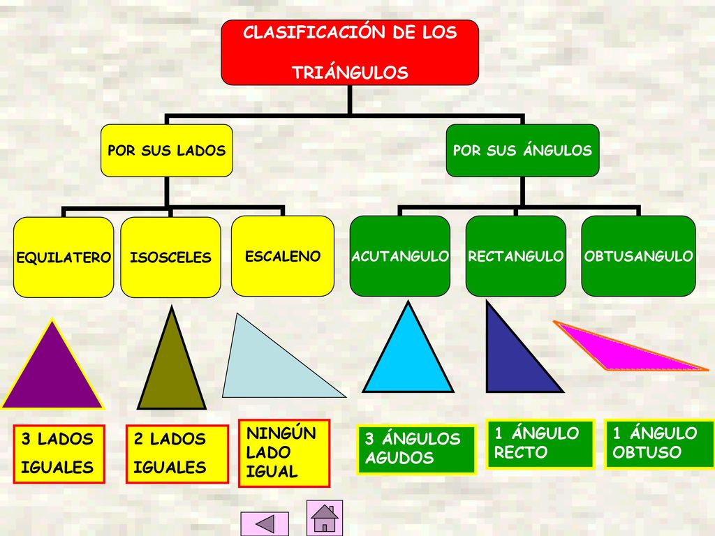 NINGÚN LADO IGUAL 1 ÁNGULO RECTO 1 ÁNGULO OBTUSO 3 LADOS IGUALES 2 LADOS IGUALES 3 ÁNGULOS AGUDOS