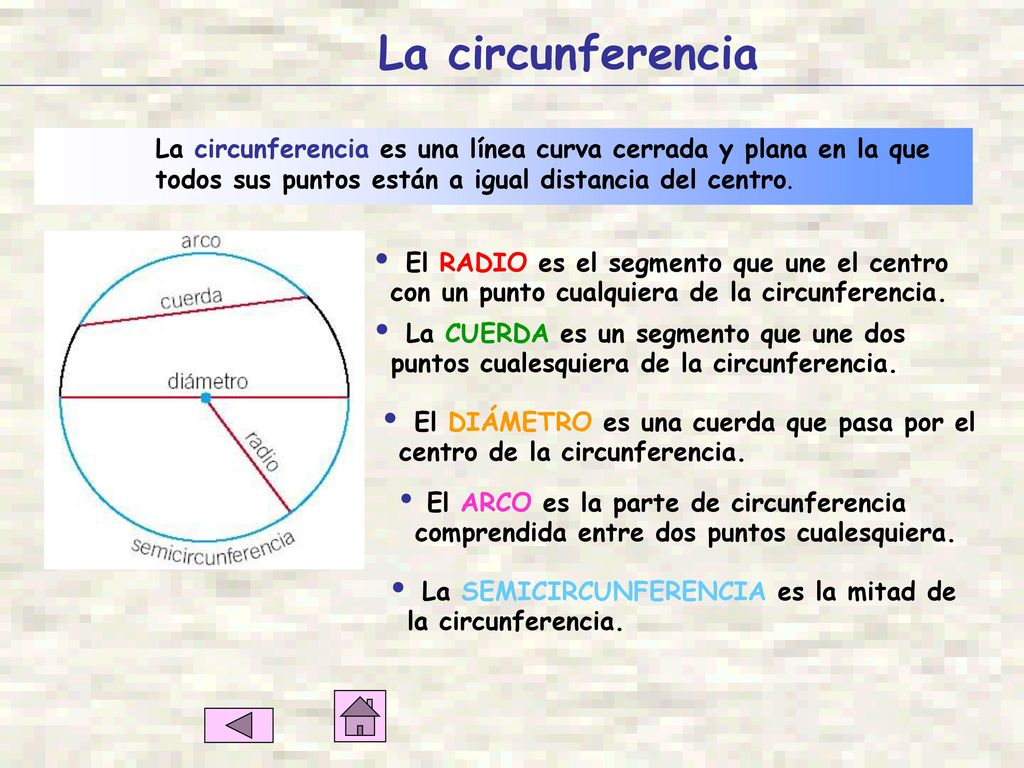 La circunferencia La circunferencia es una línea curva cerrada y plana en la que todos sus puntos están a igual distancia del centro.
