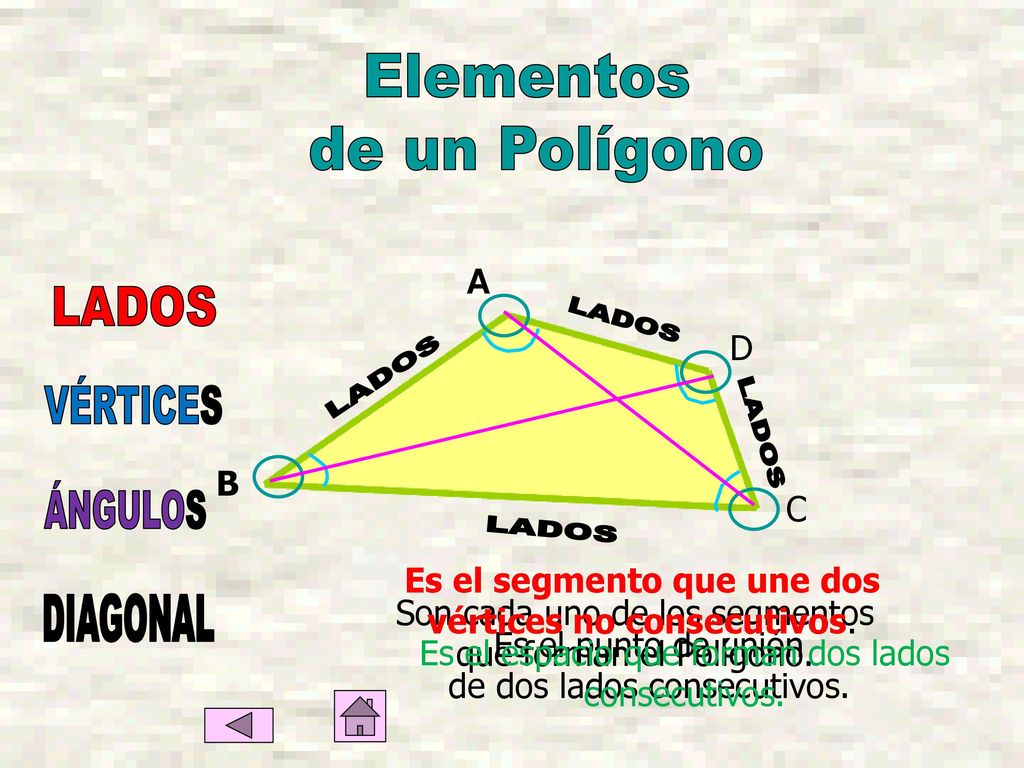 Elementos de un Polígono LADOS LADOS LADOS VÉRTICES LADOS ÁNGULOS