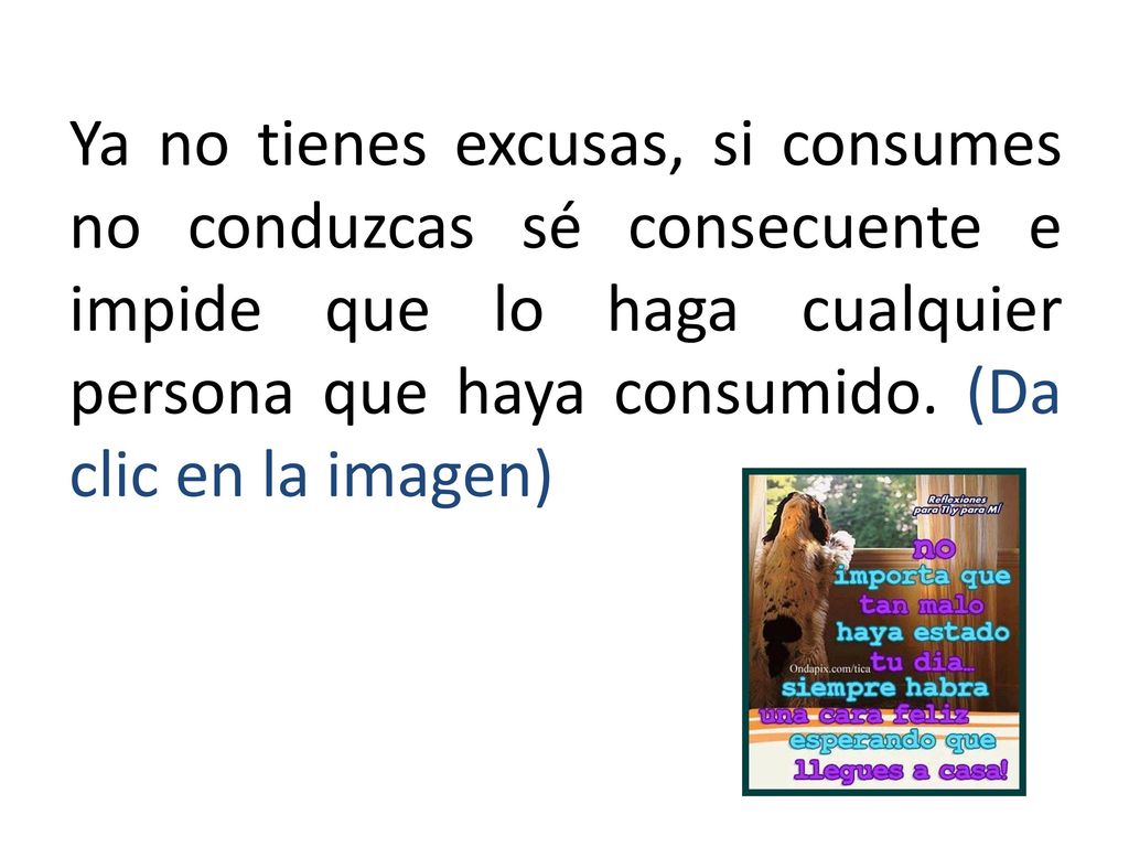 Ya no tienes excusas, si consumes no conduzcas sé consecuente e impide que lo haga cualquier persona que haya consumido.