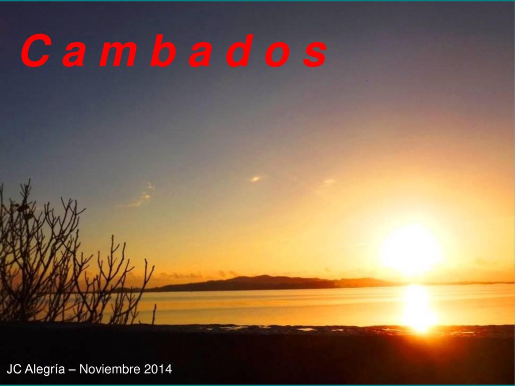 C a m b a d o s JC Alegría – Noviembre 2014