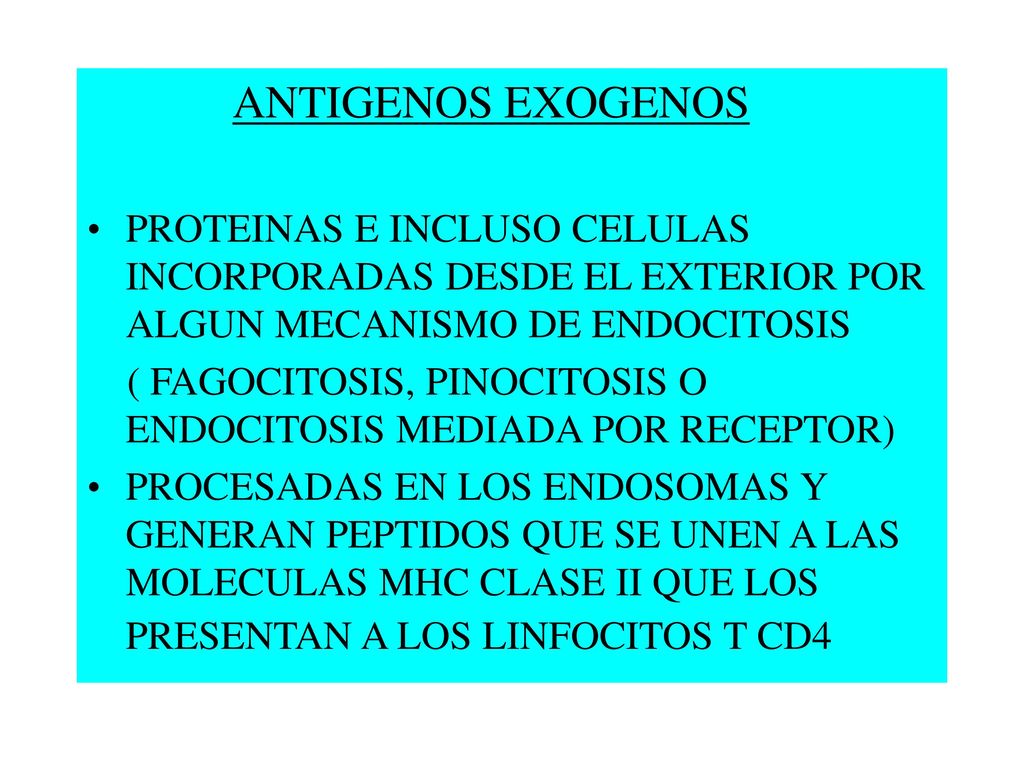 ANTIGENOS EXOGENOS PROTEINAS E INCLUSO CELULAS INCORPORADAS DESDE EL EXTERIOR POR ALGUN MECANISMO DE ENDOCITOSIS.