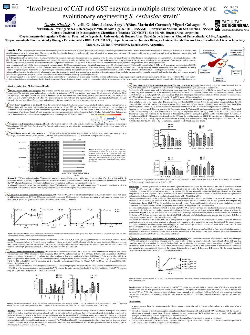 High levels of inhibitors and organic acid. High ethanol concentration