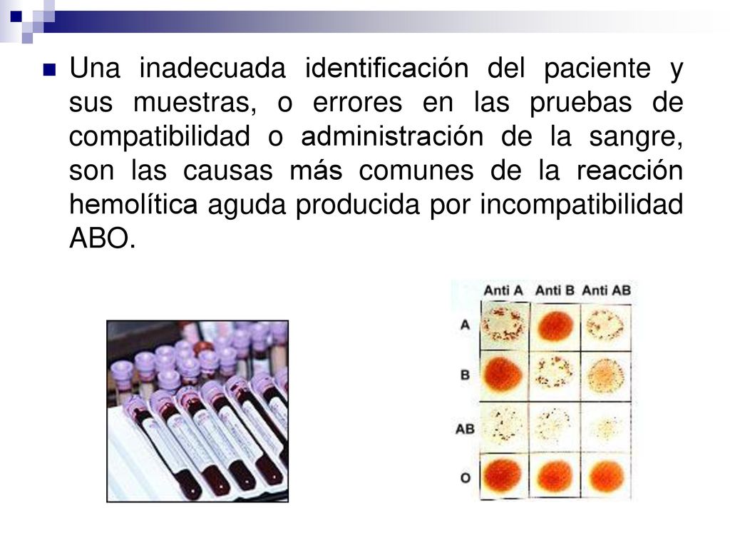 Una inadecuada identificación del paciente y sus muestras, o errores en las pruebas de compatibilidad o administración de la sangre, son las causas más comunes de la reacción hemolítica aguda producida por incompatibilidad ABO.