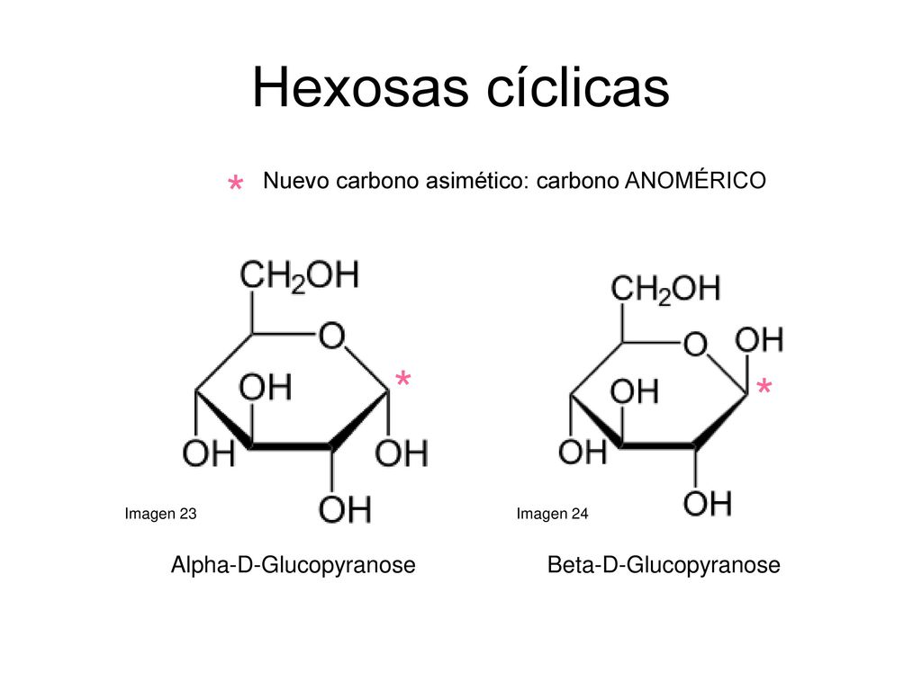 Hexosas cíclicas * * * Nuevo carbono asimético: carbono ANOMÉRICO