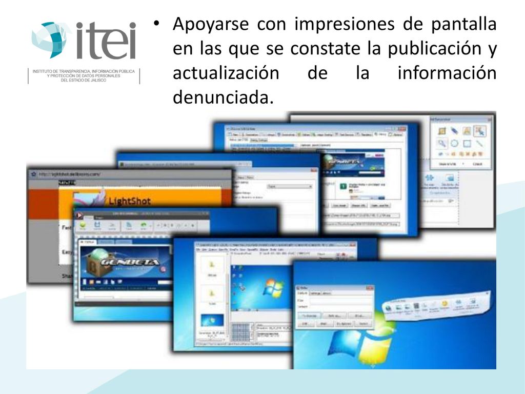 Apoyarse con impresiones de pantalla en las que se constate la publicación y actualización de la información denunciada.