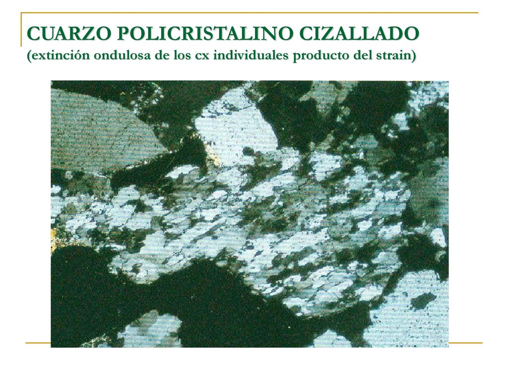 CUARZO POLICRISTALINO CIZALLADO (extinción ondulosa de los cx individuales producto del strain)