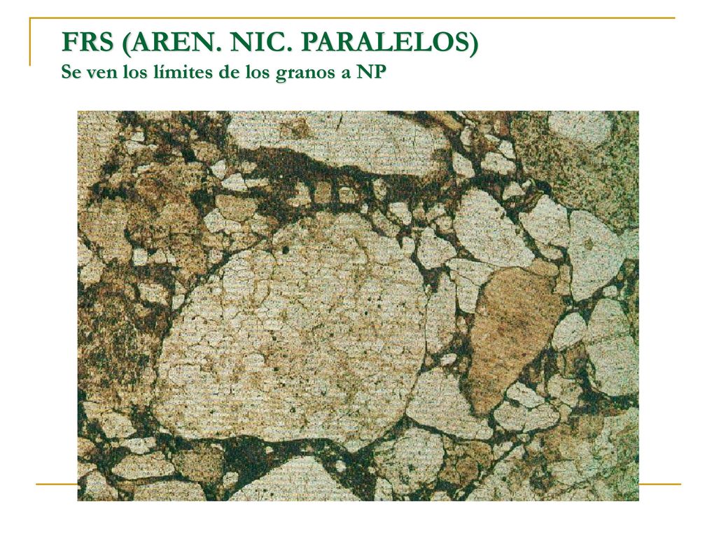 FRS (AREN. NIC. PARALELOS) Se ven los límites de los granos a NP