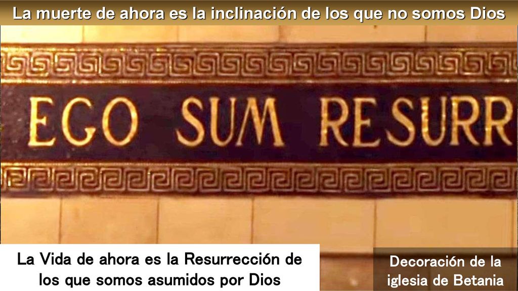 La Vida de ahora es la Resurrección de los que somos asumidos por Dios