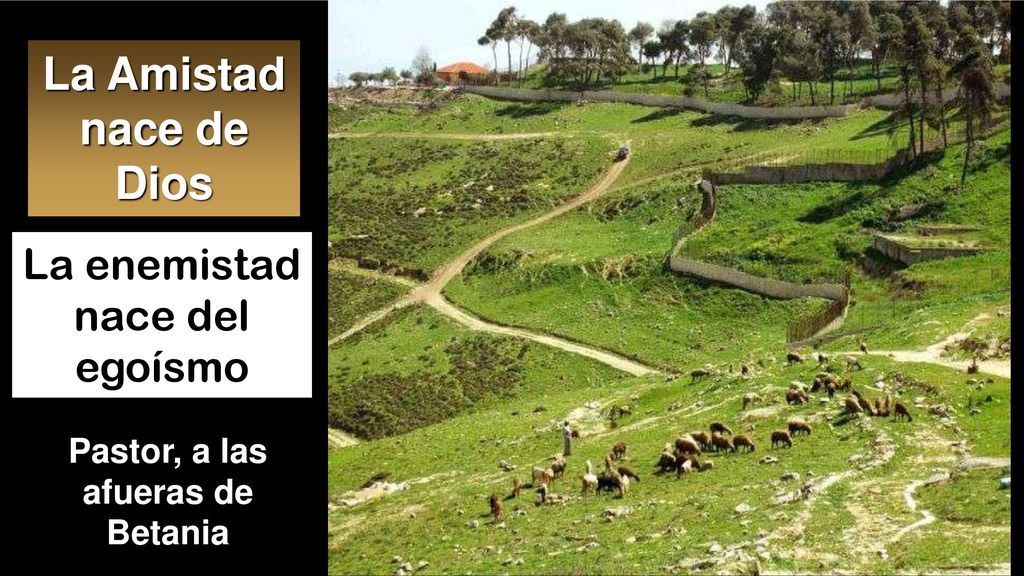 Betània (restes bizantines) Pastor, a las afueras de Betania