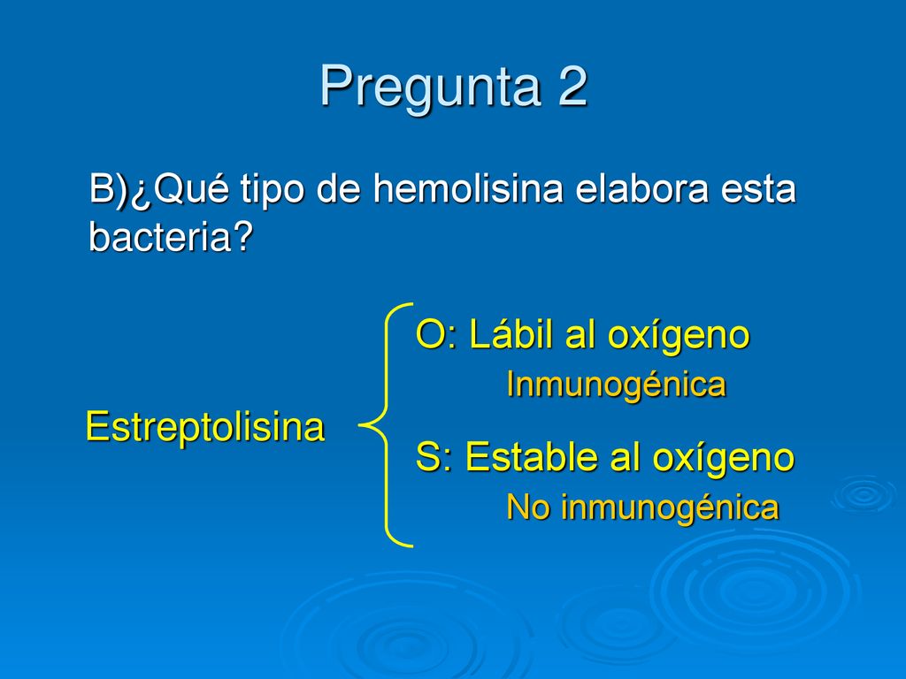 Pregunta 2 B)¿Qué tipo de hemolisina elabora esta bacteria