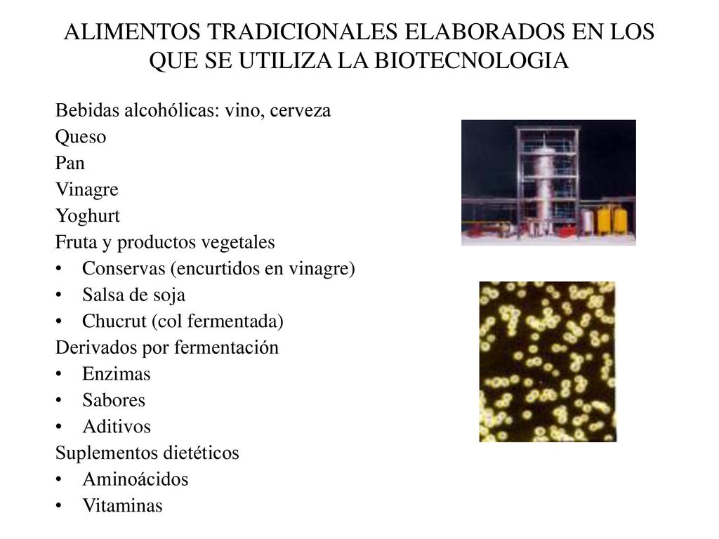 ALIMENTOS TRADICIONALES ELABORADOS EN LOS QUE SE UTILIZA LA BIOTECNOLOGIA