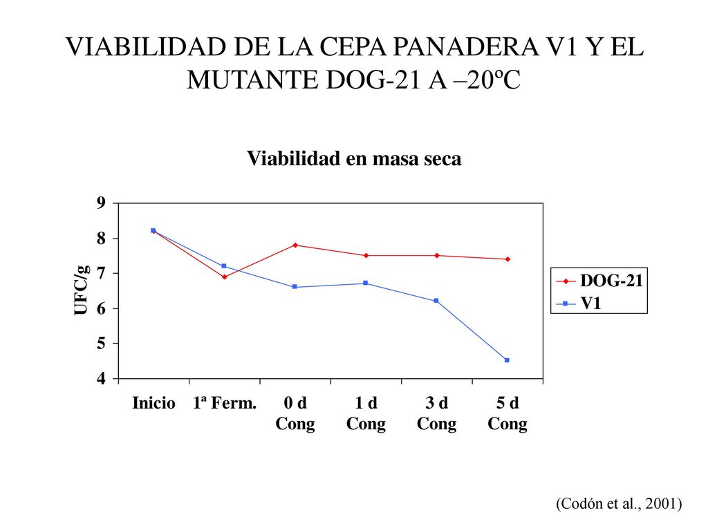 VIABILIDAD DE LA CEPA PANADERA V1 Y EL MUTANTE DOG-21 A –20ºC