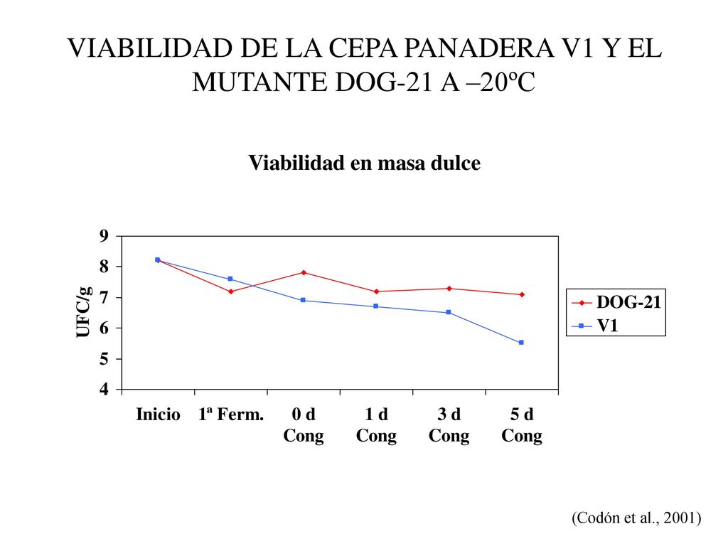 VIABILIDAD DE LA CEPA PANADERA V1 Y EL MUTANTE DOG-21 A –20ºC