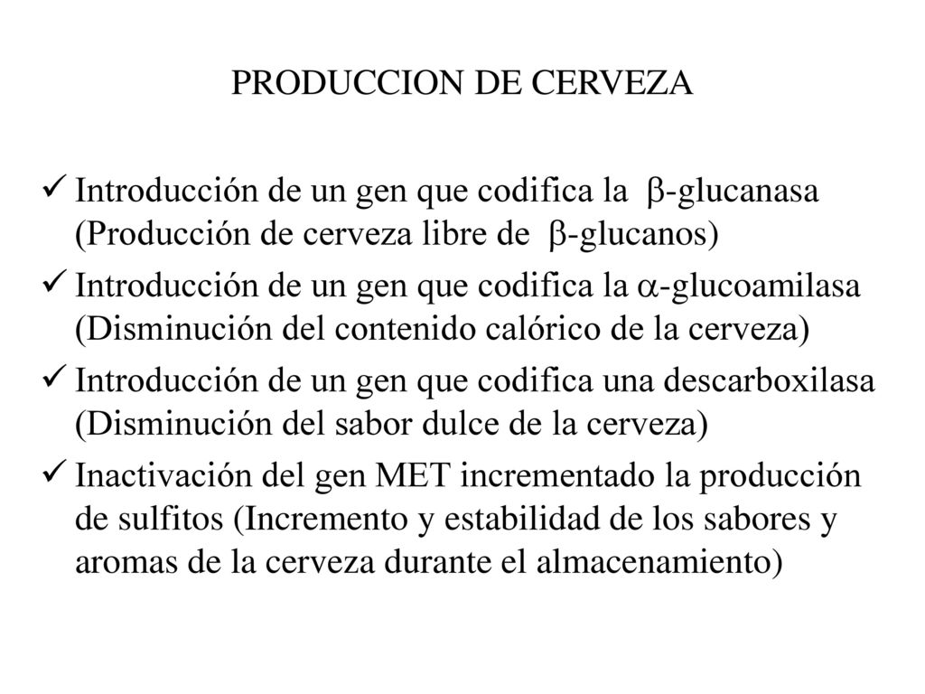 PRODUCCION DE CERVEZA Introducción de un gen que codifica la -glucanasa (Producción de cerveza libre de -glucanos)