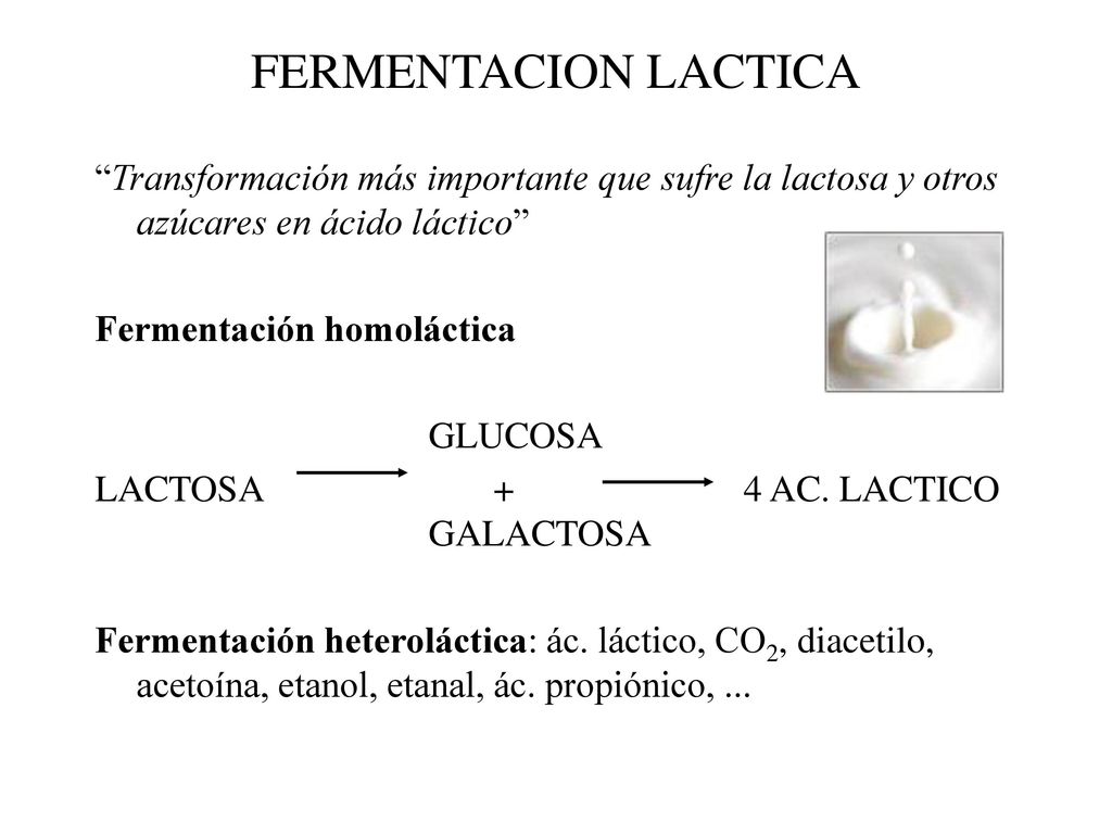 FERMENTACION LACTICA Transformación más importante que sufre la lactosa y otros azúcares en ácido láctico