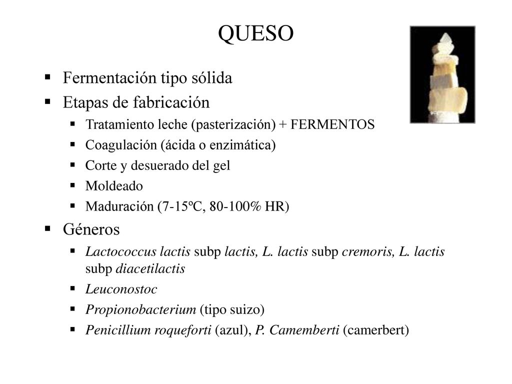 QUESO Fermentación tipo sólida Etapas de fabricación Géneros