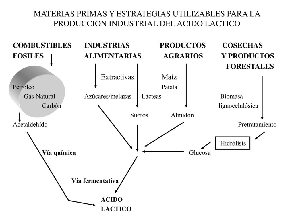 MATERIAS PRIMAS Y ESTRATEGIAS UTILIZABLES PARA LA PRODUCCION INDUSTRIAL DEL ACIDO LACTICO