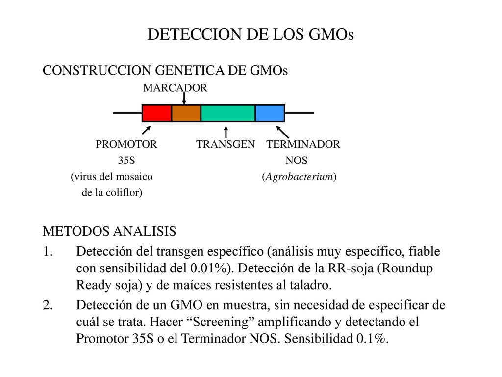 DETECCION DE LOS GMOs CONSTRUCCION GENETICA DE GMOs METODOS ANALISIS