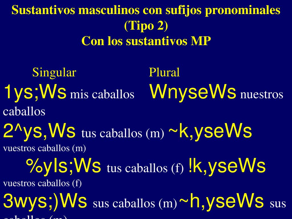 Sustantivos masculinos con sufijos pronominales (Tipo 2)