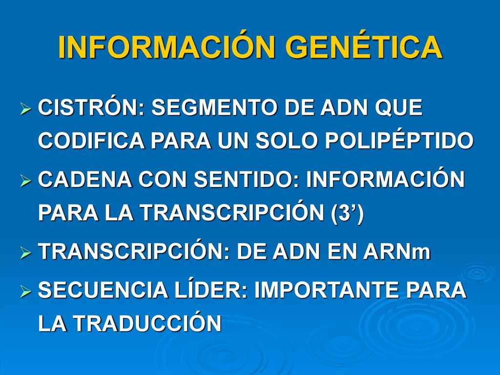 INFORMACIÓN GENÉTICA CISTRÓN: SEGMENTO DE ADN QUE CODIFICA PARA UN SOLO POLIPÉPTIDO. CADENA CON SENTIDO: INFORMACIÓN PARA LA TRANSCRIPCIÓN (3’)