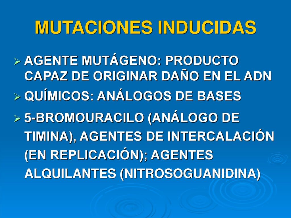 MUTACIONES INDUCIDAS AGENTE MUTÁGENO: PRODUCTO CAPAZ DE ORIGINAR DAÑO EN EL ADN. QUÍMICOS: ANÁLOGOS DE BASES.