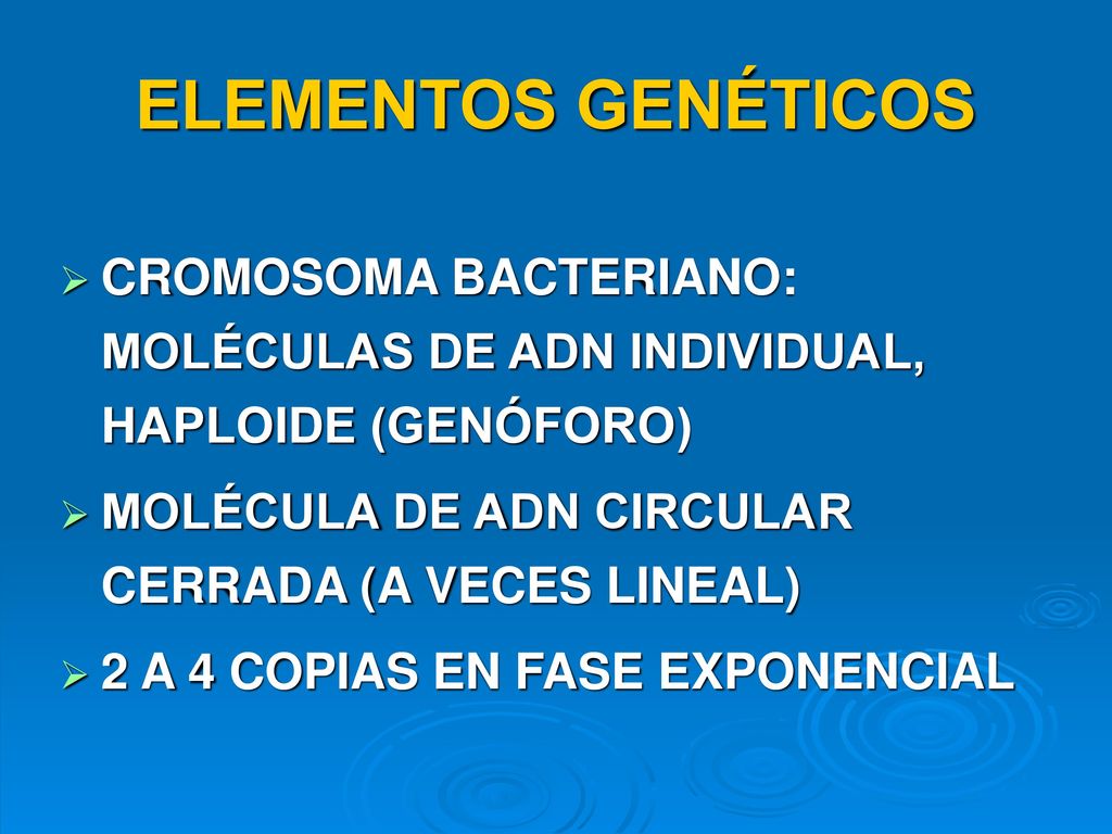 ELEMENTOS GENÉTICOS CROMOSOMA BACTERIANO: MOLÉCULAS DE ADN INDIVIDUAL, HAPLOIDE (GENÓFORO) MOLÉCULA DE ADN CIRCULAR CERRADA (A VECES LINEAL)