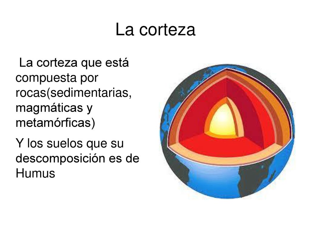 La corteza La corteza que está compuesta por rocas(sedimentarias, magmáticas y metamórficas) Y los suelos que su descomposición es de Humus.