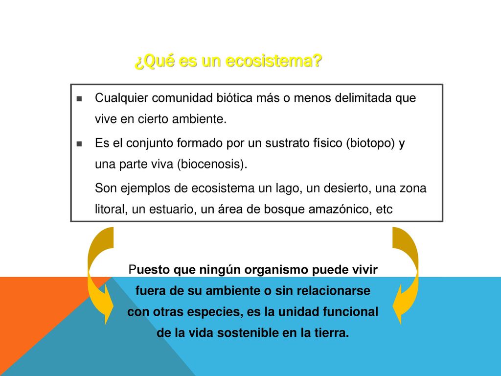¿Qué es un ecosistema Cualquier comunidad biótica más o menos delimitada que vive en cierto ambiente.