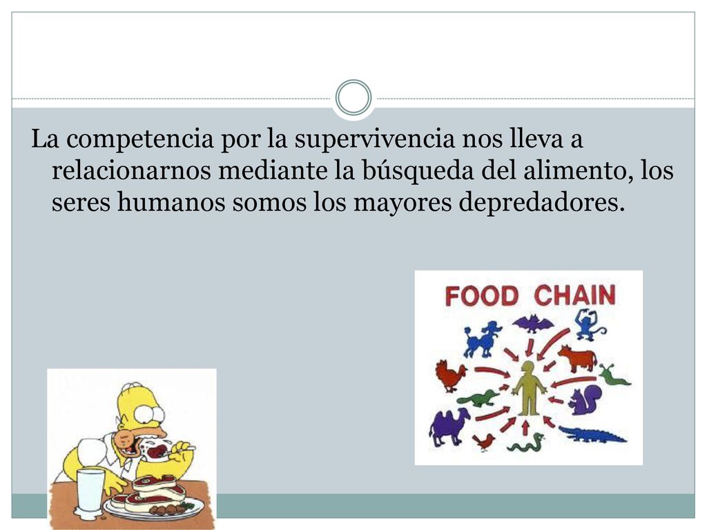La competencia por la supervivencia nos lleva a relacionarnos mediante la búsqueda del alimento, los seres humanos somos los mayores depredadores.