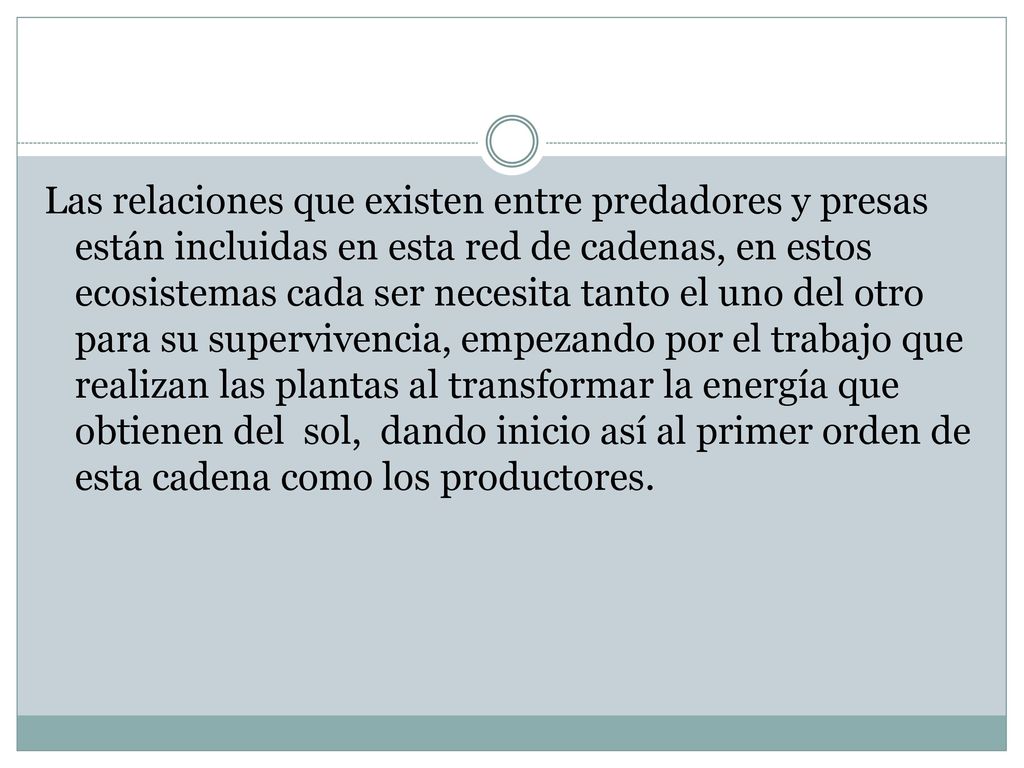 Las relaciones que existen entre predadores y presas están incluidas en esta red de cadenas, en estos ecosistemas cada ser necesita tanto el uno del otro para su supervivencia, empezando por el trabajo que realizan las plantas al transformar la energía que obtienen del sol, dando inicio así al primer orden de esta cadena como los productores.