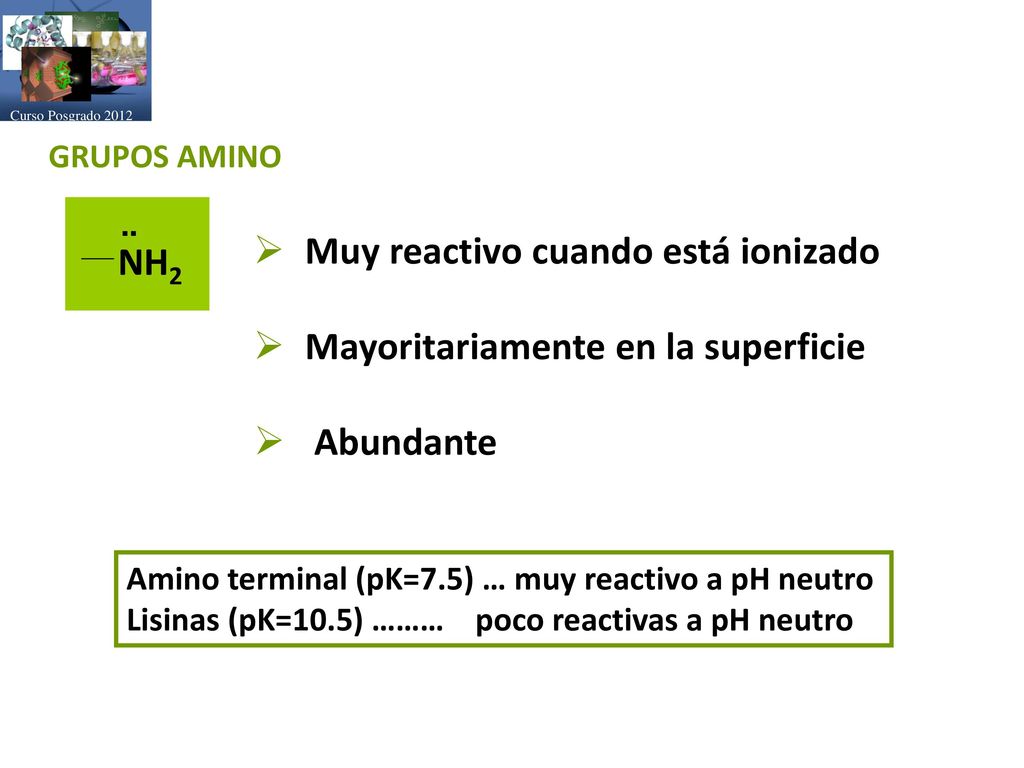 Muy reactivo cuando está ionizado Mayoritariamente en la superficie