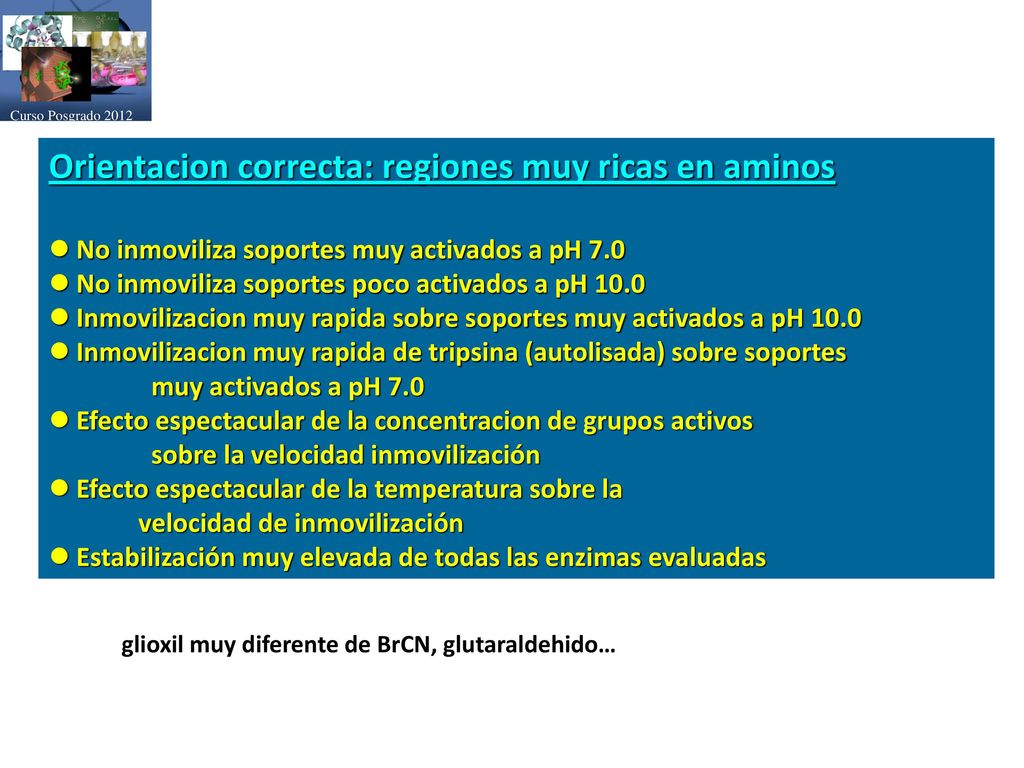 Orientacion correcta: regiones muy ricas en aminos
