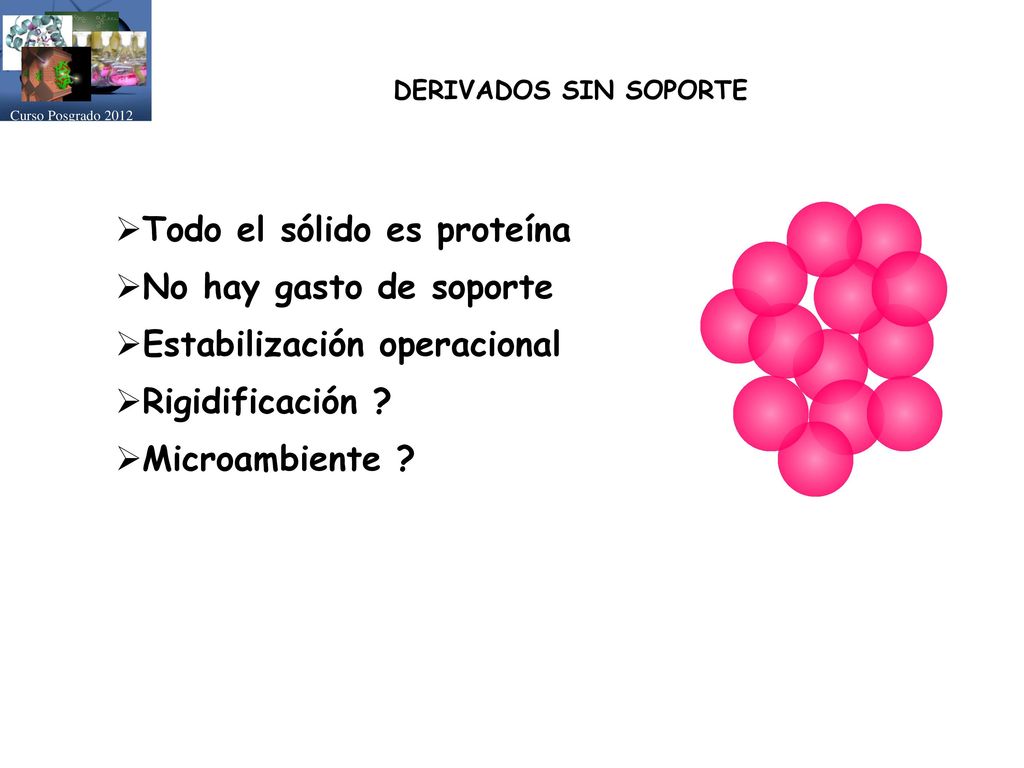 Todo el sólido es proteína No hay gasto de soporte