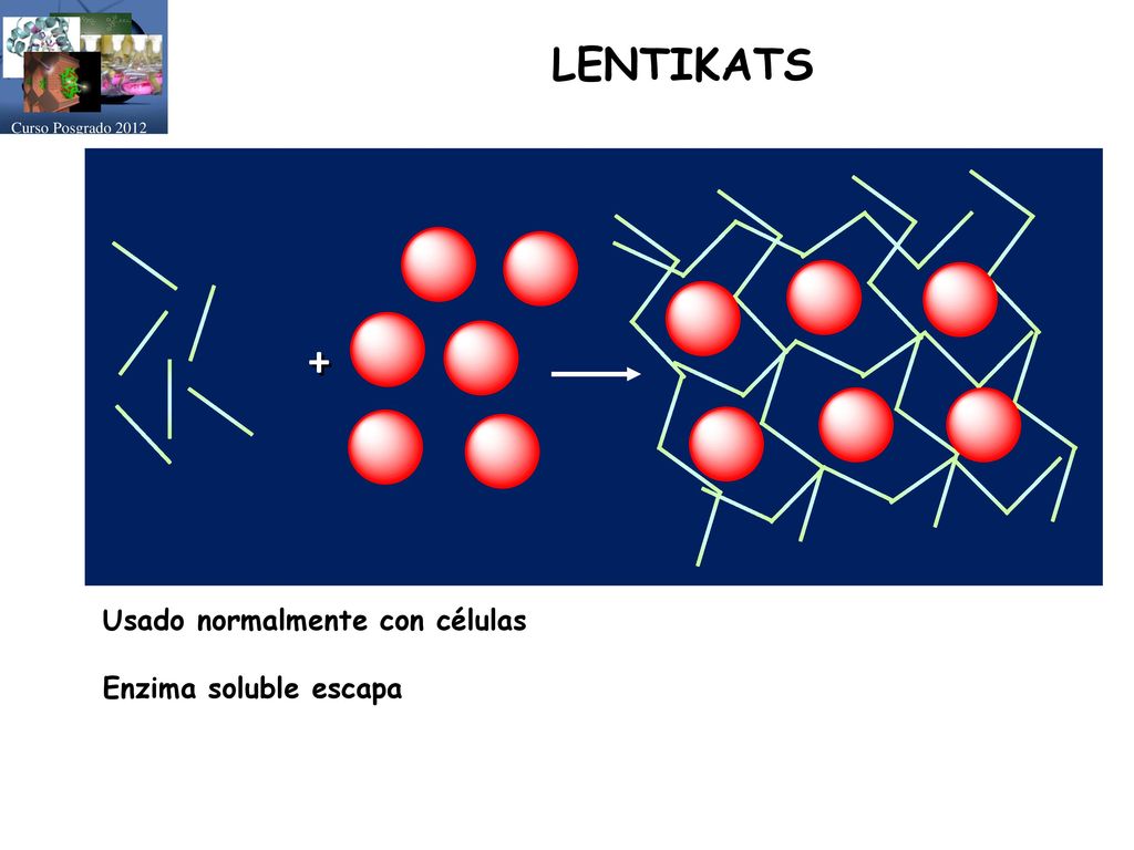 LENTIKATS + Usado normalmente con células Enzima soluble escapa
