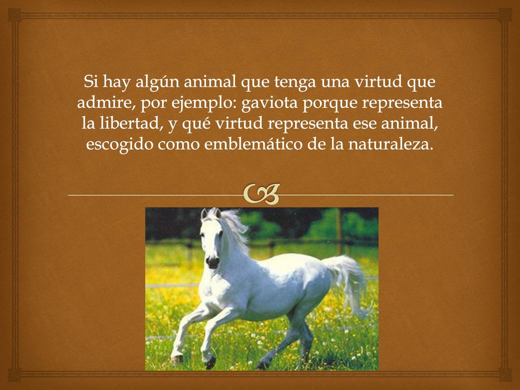 Si hay algún animal que tenga una virtud que admire, por ejemplo: gaviota porque representa la libertad, y qué virtud representa ese animal, escogido como emblemático de la naturaleza.