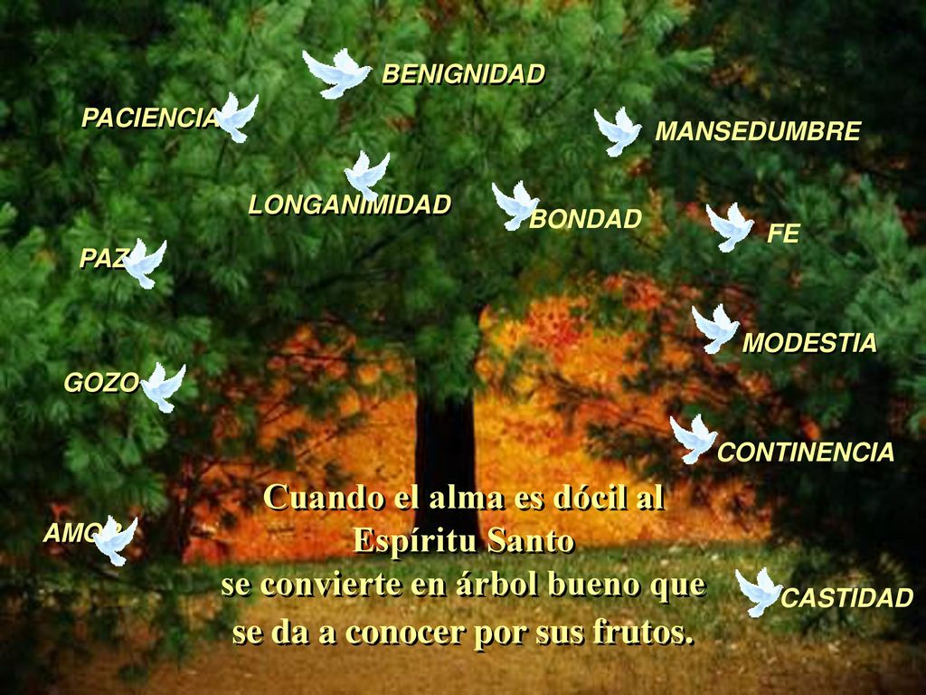 BENIGNIDAD PACIENCIA. MANSEDUMBRE. LONGANIMIDAD. BONDAD. FE. PAZ. MODESTIA. GOZO. CONTINENCIA.