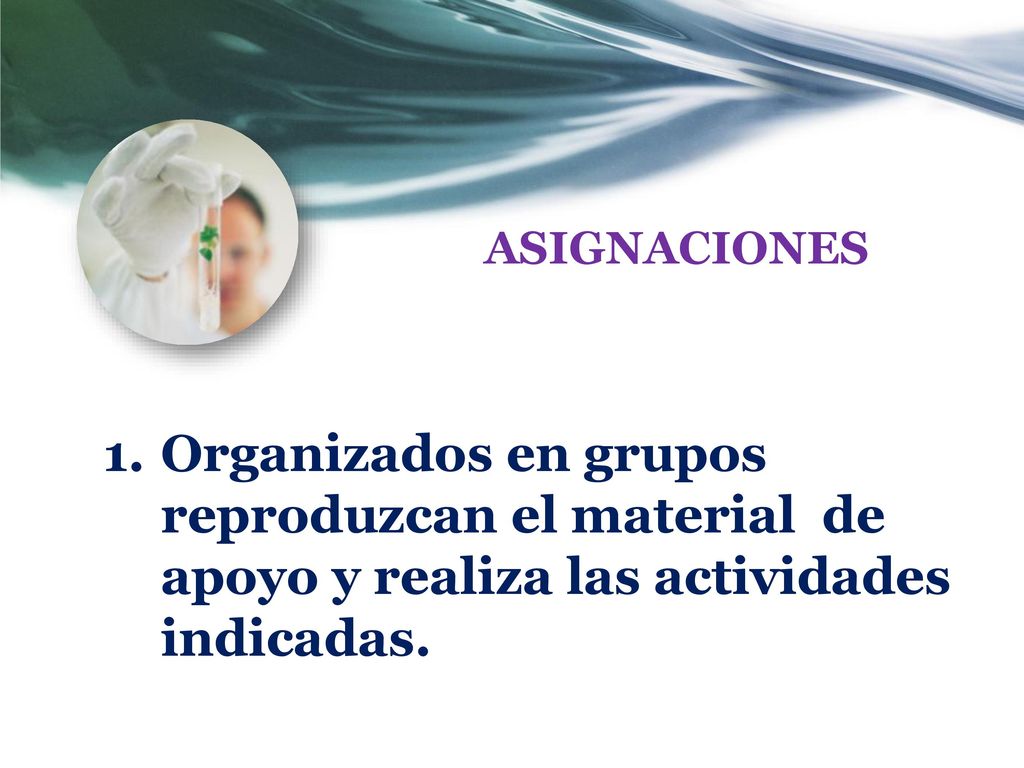 ASIGNACIONES Organizados en grupos reproduzcan el material de apoyo y realiza las actividades indicadas.