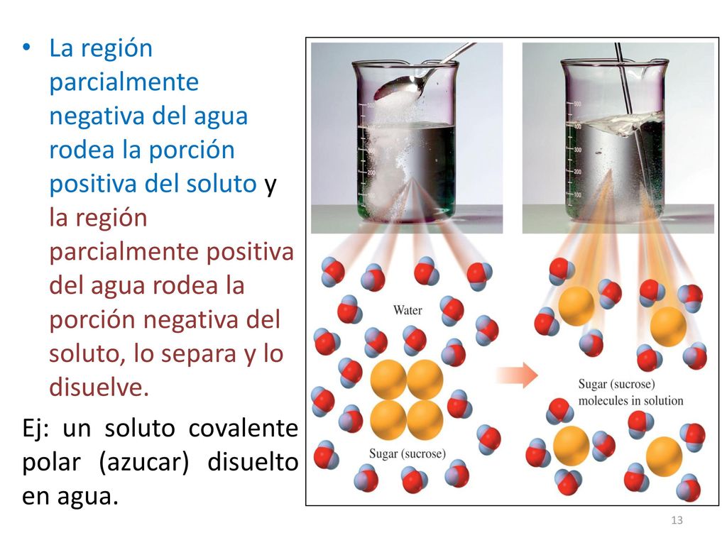 La región parcialmente negativa del agua rodea la porción positiva del soluto y la región parcialmente positiva del agua rodea la porción negativa del soluto, lo separa y lo disuelve.